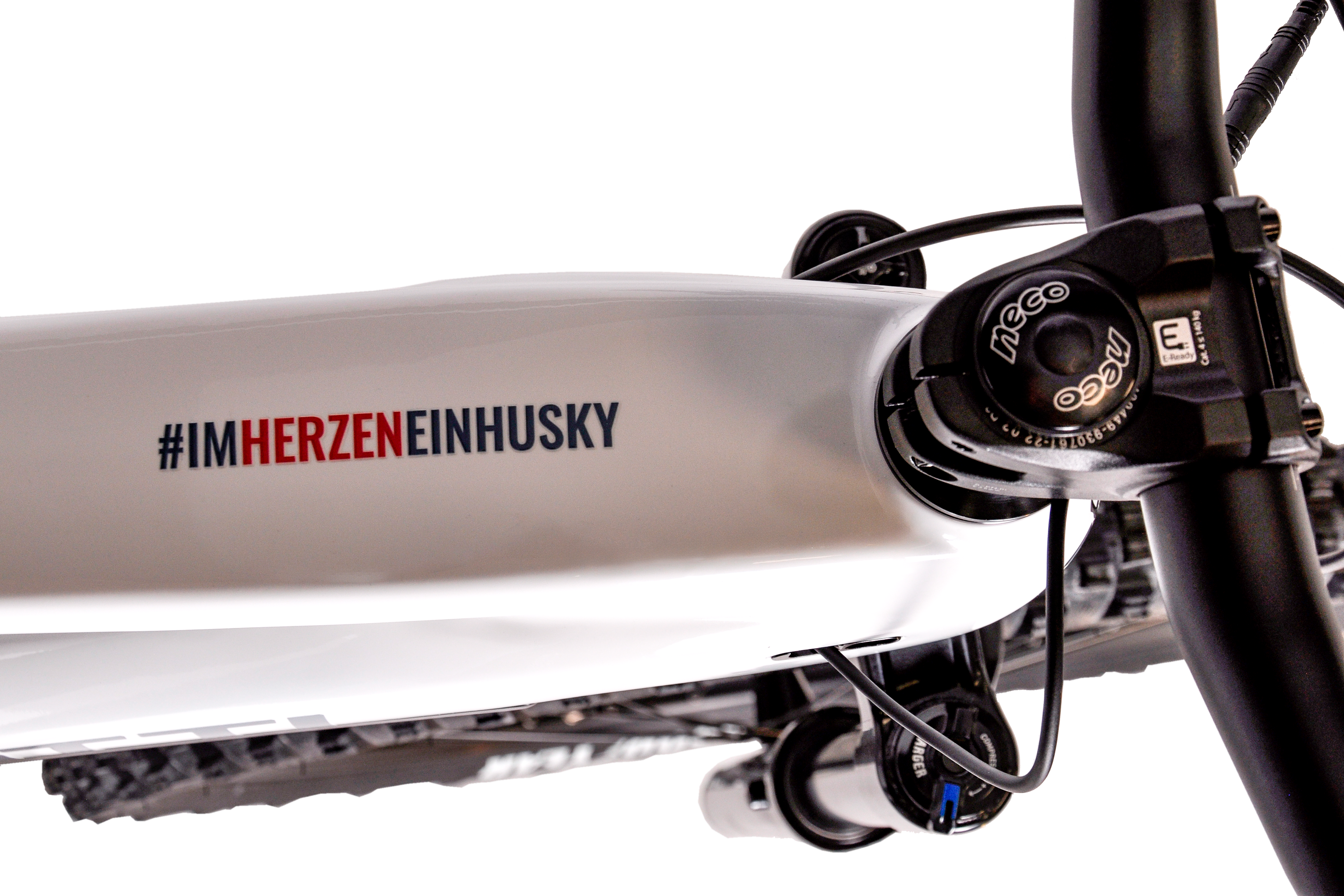 BENOTTI SONDRIO FS2 Carbon E-MTB - Kassel Huskies Edition