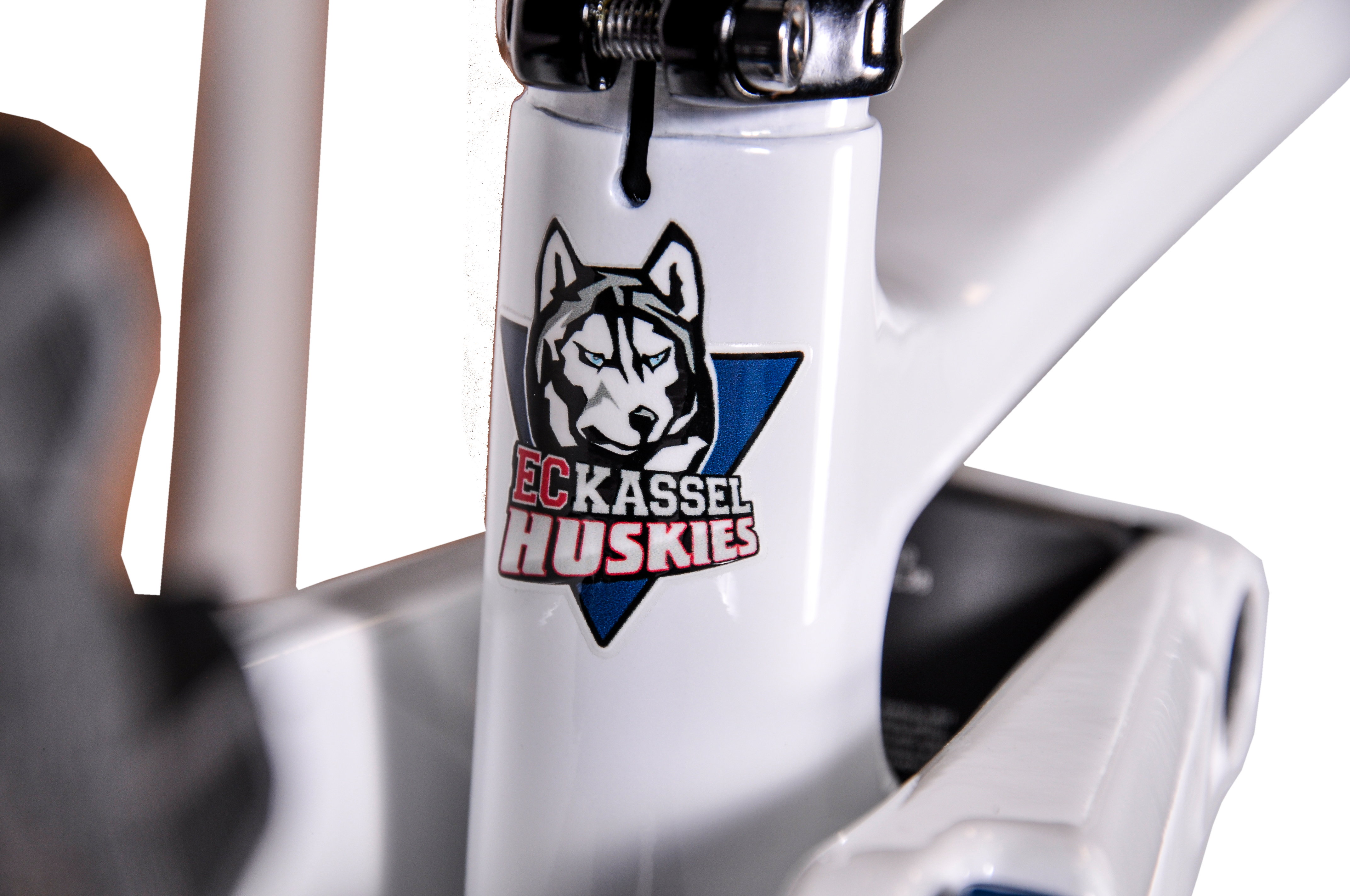 BENOTTI SONDRIO FS2 Carbon E-MTB - Kassel Huskies Edition