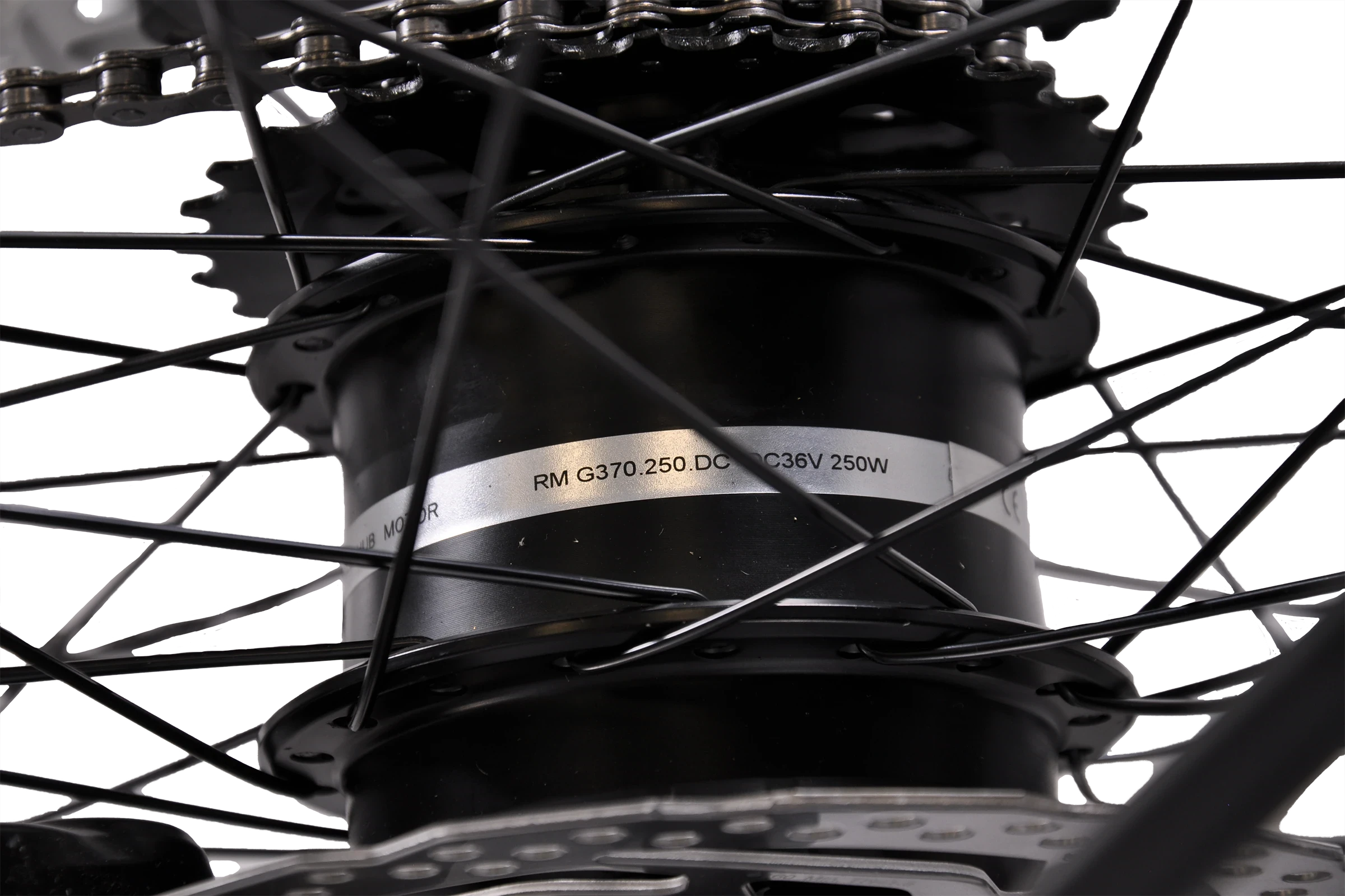 BENOTTI VALBONA Light E1 - Kassel Huskies-Edition