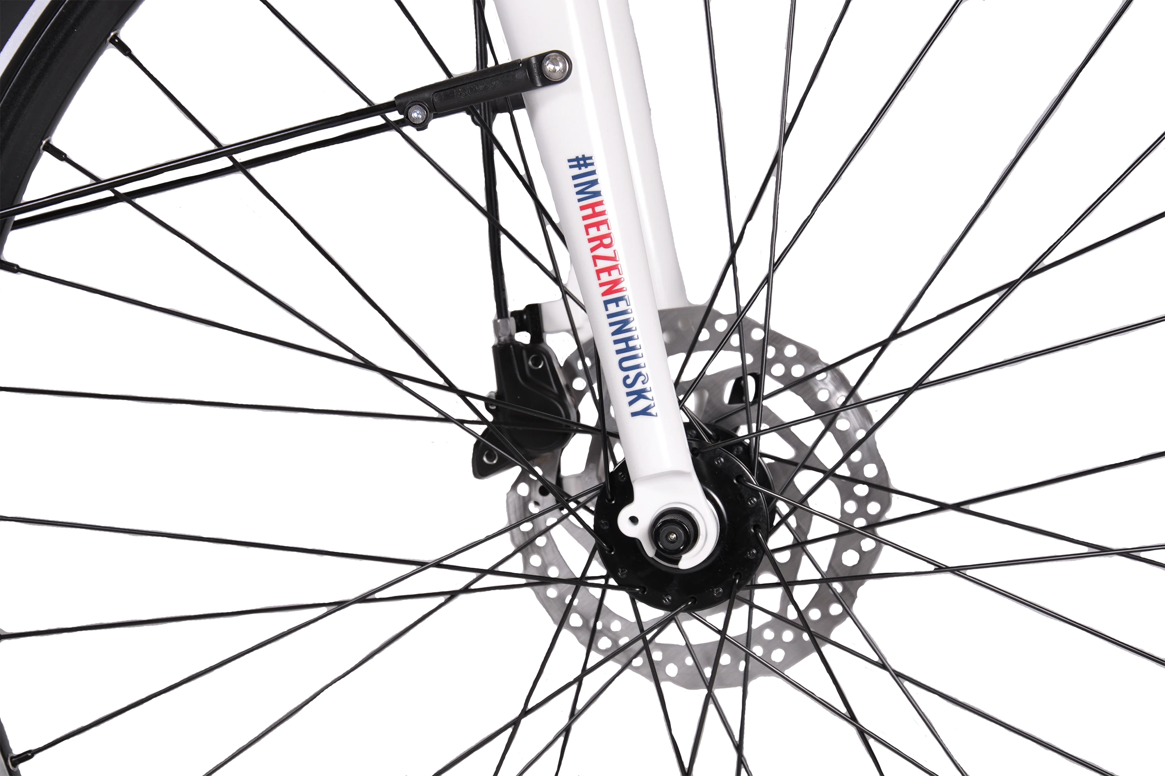 BENOTTI VALBONA Light E1 - Kassel Huskies-Edition